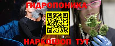 шишки Апшеронск