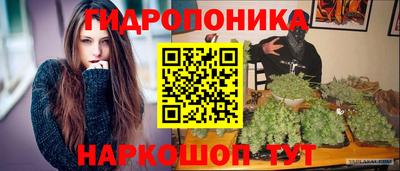шишки Апшеронск