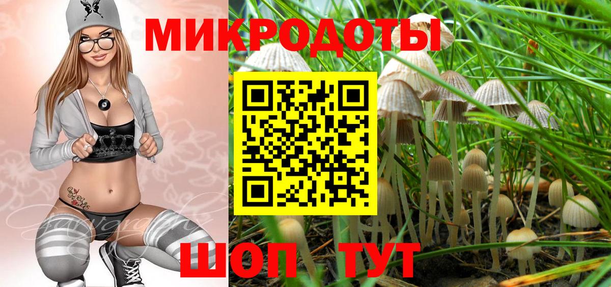 Псилоцибиновые грибы GOLDEN TEACHER  Вход с VPN  купить наркоту  Ачхой-Мартан 